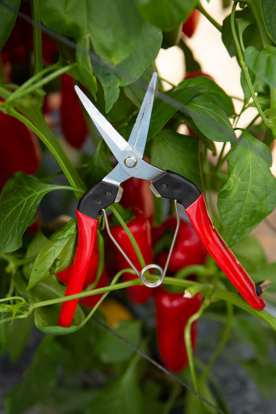 Gardening Supplies and Tools